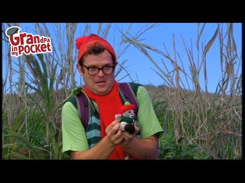 Grandpa in My Pocket Clip - Mighty Mike and a Bear on a Hike Clip 1 | Mr Yomper Stomper! | Series 5