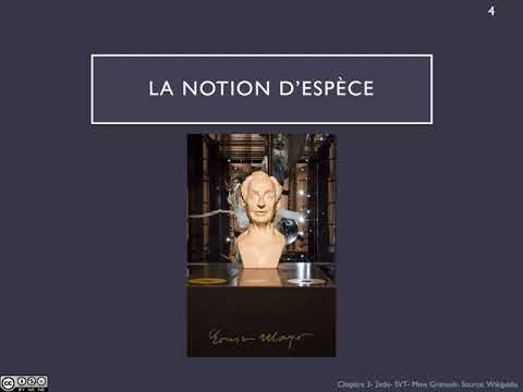 Chapitre 3: Les échelles de la biodiversité