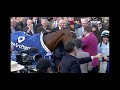 Emotional scenes as Honeysuckle returns to Cheltenham Winners Enclosure a hero for the final time