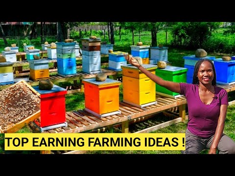 , title : 'TOP FARMING Ideas That Can Make You  A Millionaire Now! | Simple and Quick'