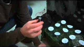 How do nocturnal hawkmoths find nectar?