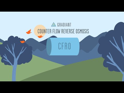 download lagu mp3 mp4 Cfro, download lagu Cfro gratis, unduh video klip Cfro