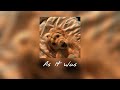Playlist Of Songs That Ll Make You Want To Smile