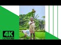 Backbone Of Nation Farmer Special 4k Full Screen WhatsApp Status Video ️ ️ Shorts Farmers