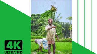 Backbone of Nation | Farmer special 4k full screen WhatsApp status video ❤️❤️ #shorts #farmers