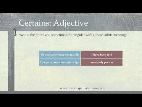 Certain in French: Indefinite Adjective and Pronoun
