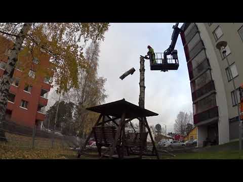 Metsolan Metsäkoulu 187 - Miten olla sahaamatta kaverin mahaa auki