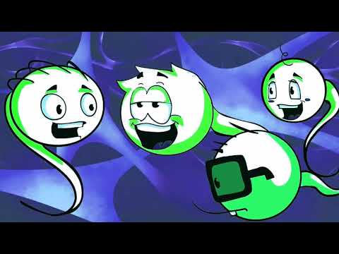 Piechu x Addamo x Kepasa - Patojagodzianki (prod. OFF Beats)