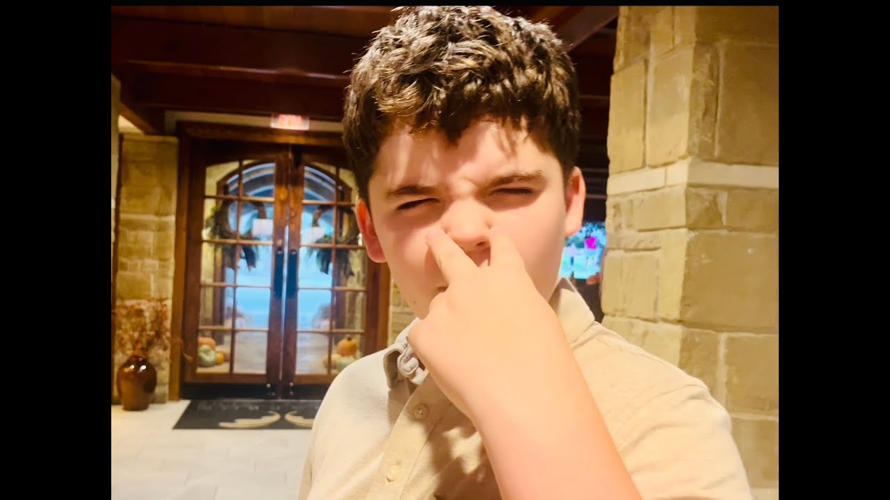 The Flash Nemesis: A documentation thumbnail