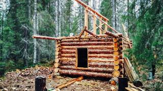 Log Cabin Build - No Shortcuts, Just Hard Work