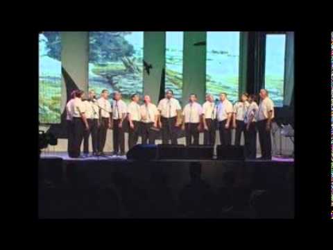 Vokalisti Salone-Zapivala tica mala