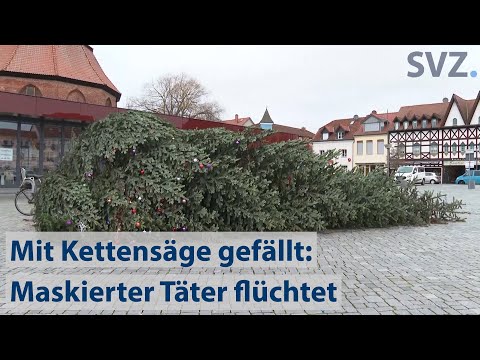 Weihnachtsbaum in Ribnitz-Damgarten gefällt - Täter flüchtet mit Kettensäge (vom 28.12.2020)