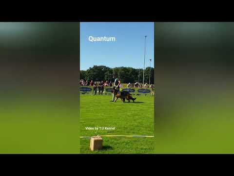 #BSZS2023 QUANTUM SCHONEN ROSEN