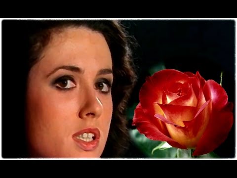 Gigliola Cinquetti  - Tango delle rose
