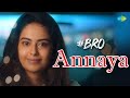 Annaya Video Song BRO Naveen Chandra Avika Gor Shekar Chandra