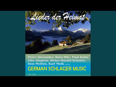 Der lachende Vagabund