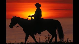 The traveler - Chris de Burgh
