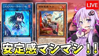 初動増加で安定感マシマシ！！　トライブリゲード編【遊戯王デュエルリンクス４０３/生放送】