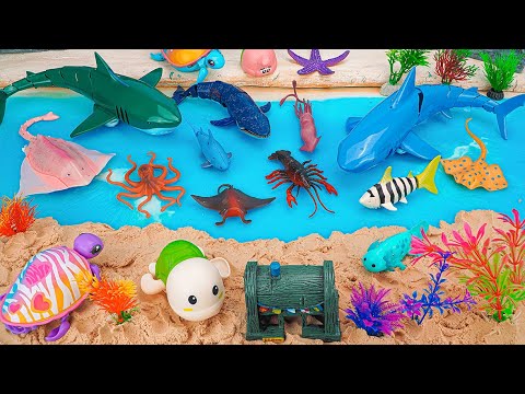 [🐟toy asmr 🐟] Sea Creatures Toys & RC Shark & Robo Turtle Playset ASMR | Satisfying Unboxing