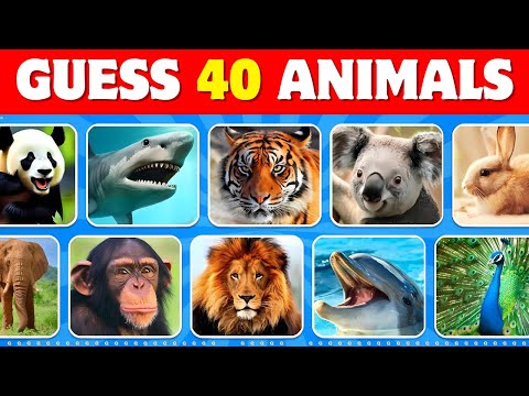 Guess 40 ANIMALS...! 🐶🐱 | Guess The Animal in 5 Seconds | Quizerz