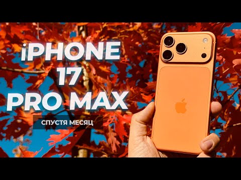 Смартфон Apple iPhone 17 Pro 512GB Silver (MG8K4QN/A)
