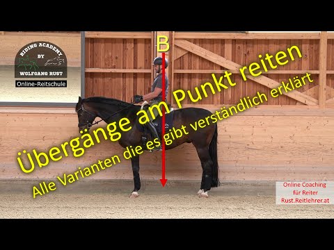 F69 Übergänge am Punkt reiten lernen. Punktgenaues reiten in Dressurprüfungen. Pferde richtig reiten