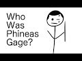 Who Was Phineas Gage?