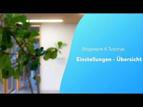 Einstellungen - Übersicht (Shopware 6 Tutorial)