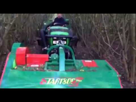 Haselnussernte Deutschland GIAMPI 2016