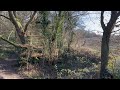 “The Hosting Of The Sidhe” By W.B Yeats Read By Morgan David