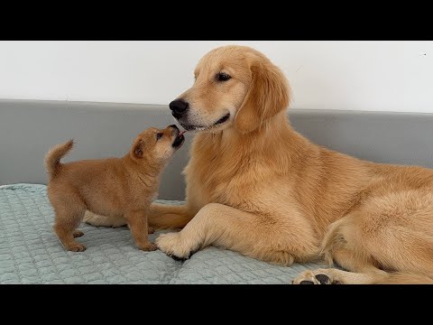 YouTube 썸네일