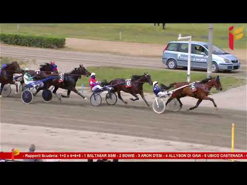 II Corsa del 20 Maggio 2023 - 5 Anni ed oltre - Metri 2000