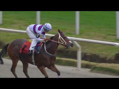 230917 c04 LA SOBRINA