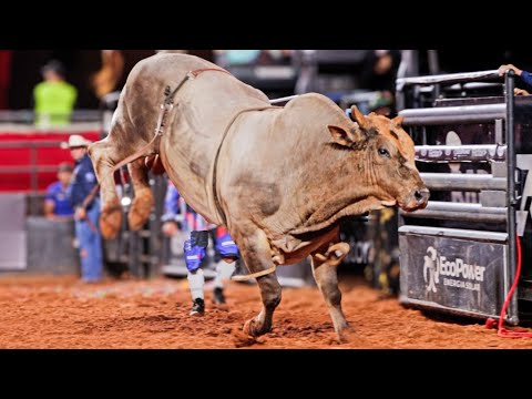 BARRETOS International Rodeo 2025 (FRIDAY / HIGHLIGHTS)