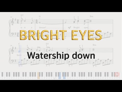 Bright Eyes