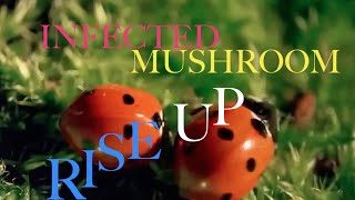 Infected Mushroom - Rise Up HQ / HD