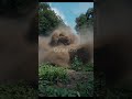 Ford car monster ???? conversion #aiediting #automobile #ai #conversion #monster #car #vfx #vfxedit