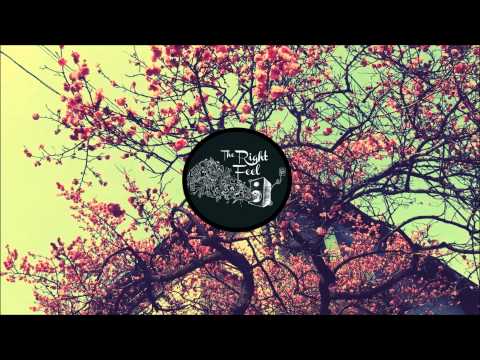 Jesper Ryom - Apolune