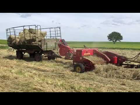 Heu pressen mit IHC 523 und Welger AP 51