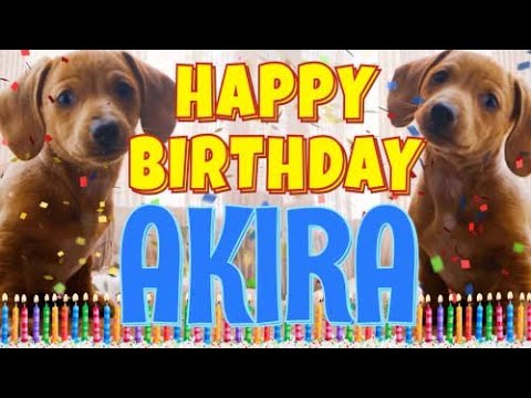 Happy Birthday Akira! ( Funny Talking Dogs ) What Is Free On My Birthday