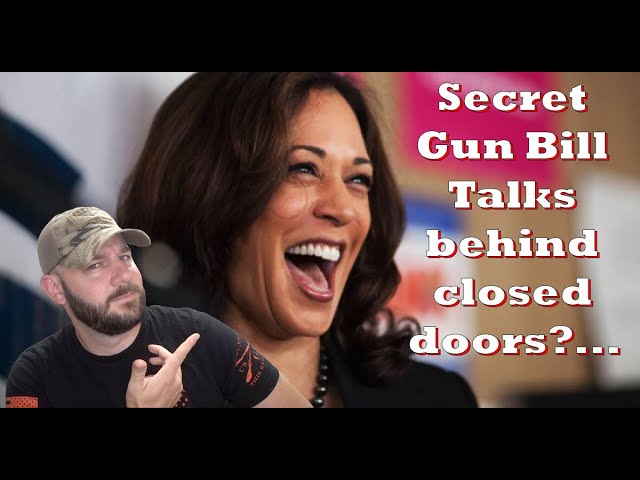 Is there a secret Gun Control Bill being built quietly in the Senate?… Interesting…