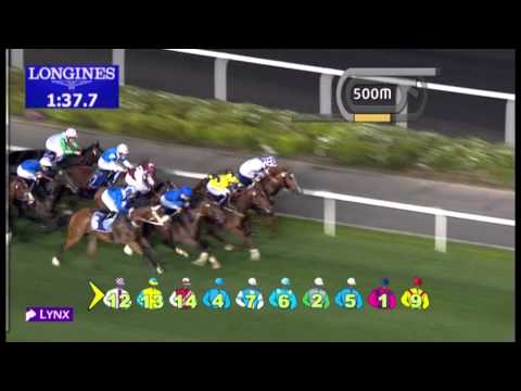 31.01.2013 Meydan (Dubai-UAE) 1.Race DUBAL Billet Trophy - 2.000 m
