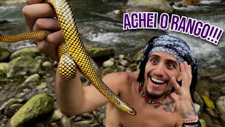 EXPLORING AND COOKING IN THE JUNGLE