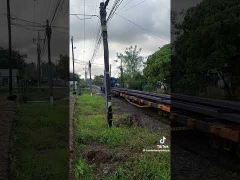 Locomotoras 86 Y 89 Llevando Carga Hacía Siquirres De Limón De Costa Rica 🇨🇷 TikTok