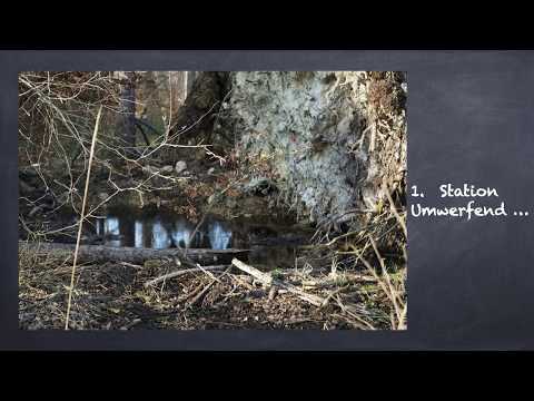 Station01 - Passionsgang im Moor