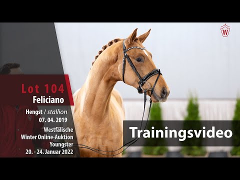 Online Winter-Auktion Training Lot 104 Feliciano Hengst v. Fürst Samarant - Vitalis