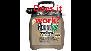 Review of Roundup 1.33 Gal. Read-to-Use Pump 'N Go Extended Control Weed and Grass Killer.