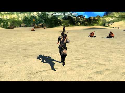 Blade & Soul Kampf für Robina