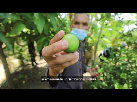 รักษ์ผืนดิน ถิ่น ส.ป.ก. ปี ๓ : (๘) ศูนย์ต้นแบบเกษตรทฤษฎีใหม่ครบวงจร เกษตรอินทรีย์ วิถีคนยโสธร