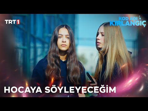 Zeynep, Feza'nın sınav cevaplarını sildiğini öğrendi - Kod Adı Kırlangıç 64.Bölüm